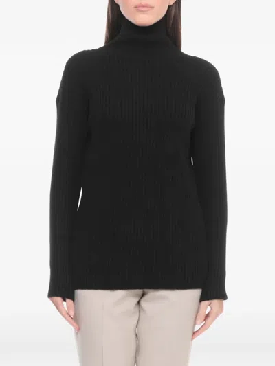 Antonelli Roll Neck Ribbed Sweater In Black