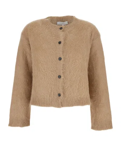 ANTONELLI ANTONELLI RIBBED CREWNECK CARDIGAN