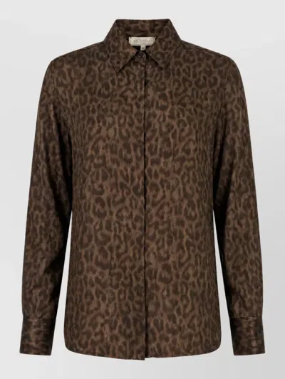 Antonelli Shirt In Brown