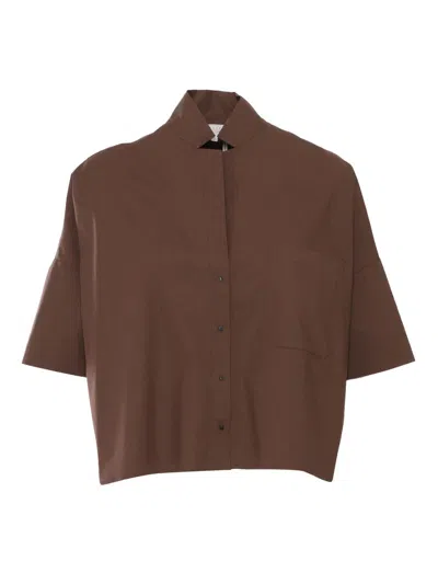 Antonelli Shirt In Brown