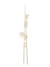Antonelli Silk Scarves & Gloves In Neutrals
