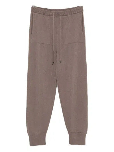 Antonelli Drawstring Tapered Trousers In Brown