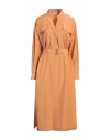 Antonelli Woman Midi Dress Apricot Size 12 Cotton, Polyester In Orange