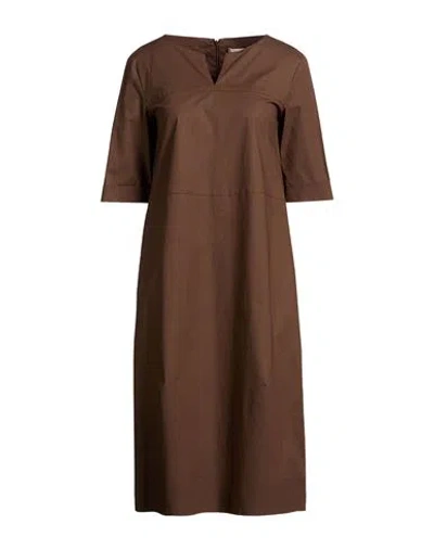 Antonelli Woman Midi Dress Dark Brown Size 2 Cotton, Elastane