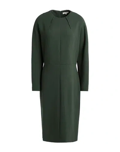 Antonelli Woman Midi Dress Dark Green Size 14 Virgin Wool, Polyamide, Elastane