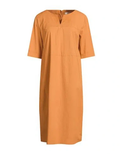 Antonelli Woman Midi Dress Mandarin Size 10 Cotton, Elastane In Orange