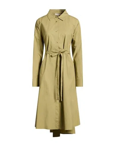 Antonelli Woman Midi Dress Sage Green Size 12 Cotton, Elastane In Multi