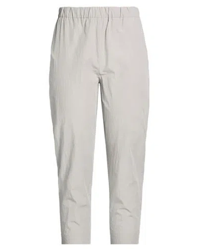Antonelli Woman Pants Grey Size 6 Cotton In Gray