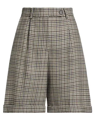 Antonelli Woman Shorts & Bermuda Shorts Sage Green Size 4 Virgin Wool