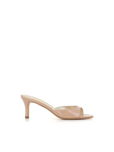 Antonio Barbato Mule In Neutral