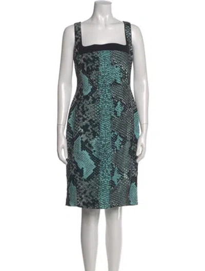 Pre-owned Antonio Berardi Printed Knee-length Dress In Blue