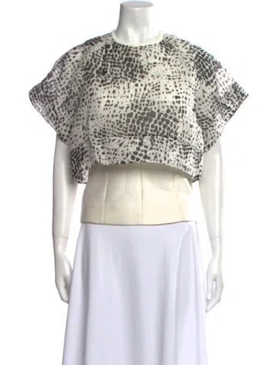 Pre-owned Antonio Berardi Silk Printed Crop Top In Neutral