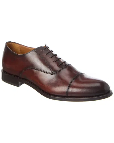 Antonio Maurizi Cap Toe Leather Oxford In Brown