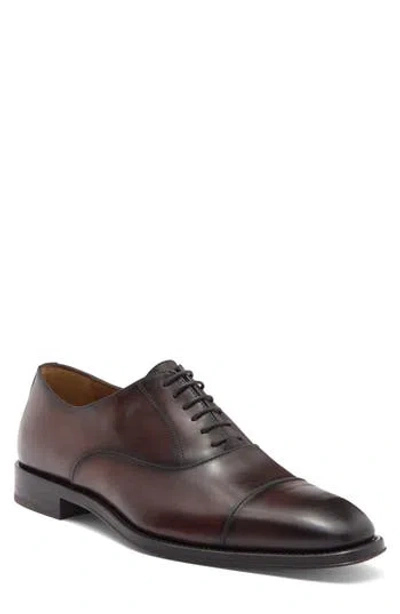 Antonio Maurizi Cap Toe Oxford In T. Moro