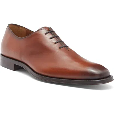 Antonio Maurizi Wholecut Oxford In Cognac
