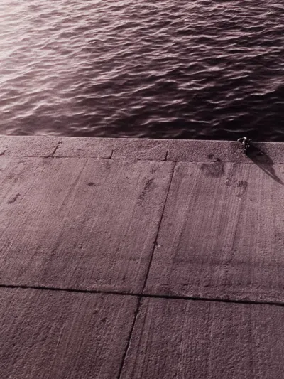 Antonio Rojas ''dique Cadena'' Photography On Paper, 12'' X 8'' In Neutral