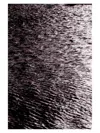 Antonio Rojas ''mar Fina'' Photography On Paper, 12'' X 8'' In Neutral