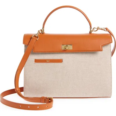 Anya Hindmarch Mortimer Canvas & Leather Top Handle Bag In Brown