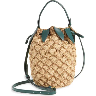 Anya Hindmarch Pineapple Crocheted Raffia Crossbody Bag In Multi