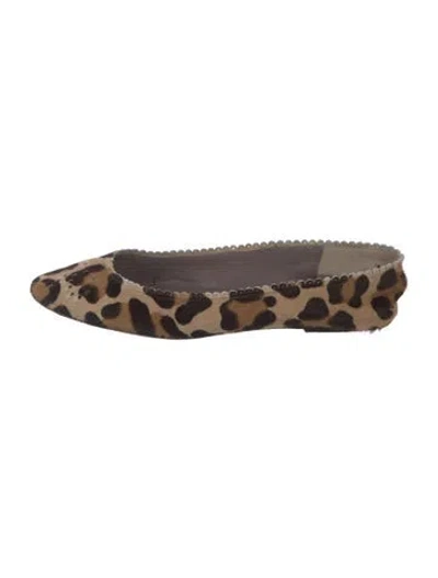 Pre-owned Anya Hindmarch Ponyhair Animal Print Ballet Flats In Neutral