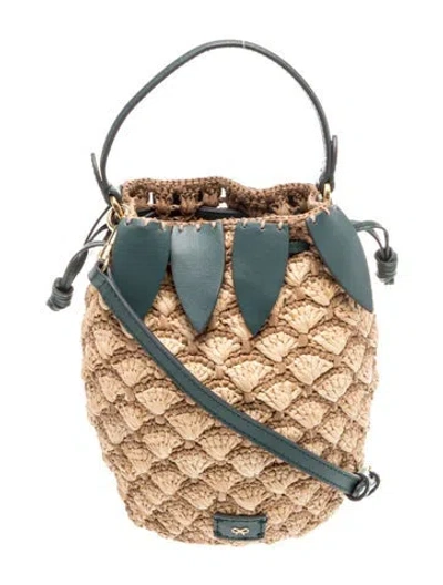 Pre-owned Anya Hindmarch Raffia Bucket Bag In Neutral