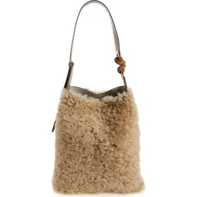 Anya Hindmarch Ringo Genuine Shearling North/south Shoulder Bag In Neutral