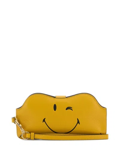 Anya Hindmarch Wink Leather Sunglasses Case In Yellow