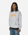 ANYTHING CURVED LOGO HOODIE HEATHER