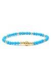 Anzie Boheme Turquoise Stretch Bracelet In Blue