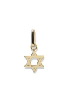 Anzie Large Star Of David Charm