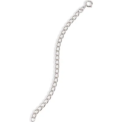 Anzie Necklace Extender In Silver