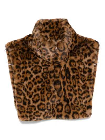 Ap Paris Jamie Leopard Dickey