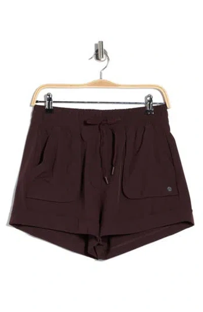 Apana Expedition Shorts In Brown