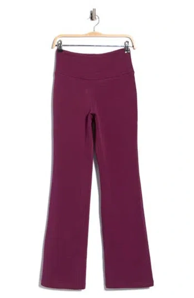 Apana Flared Leggings In Purple