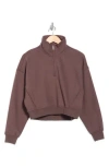 Apana Forever Fleece Quarter Zip Sweatshirt In Brown
