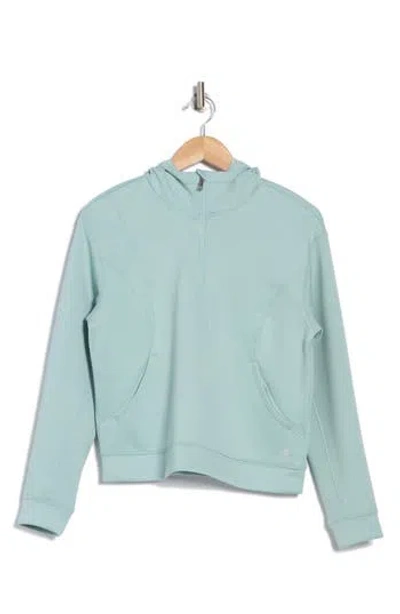 Apana Stellar Scuba Quarter Zip Hoodie In Misty Meadow