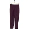 Apana Villa Cargo Joggers In Purple
