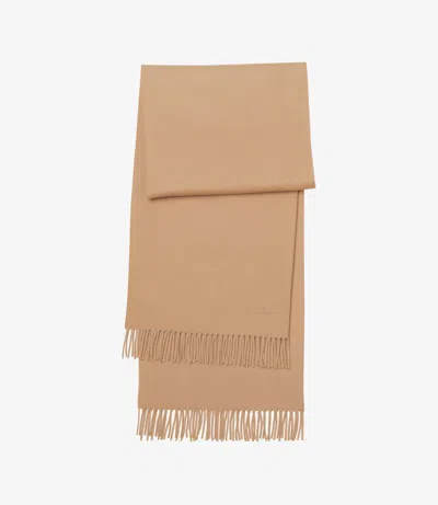 Apc Alix Embroidered Scarf One Size Black In Brown