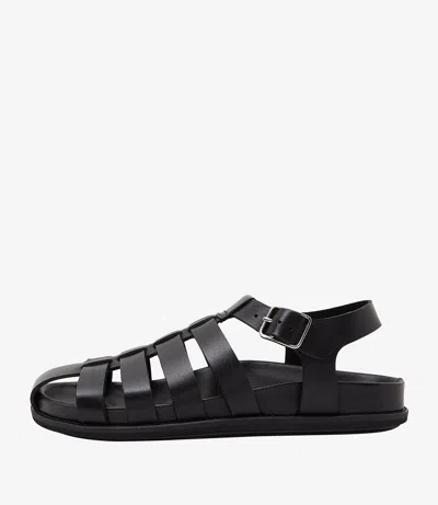 APC BLACK