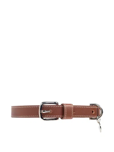 Apc Calf Leather Pet Collar In Brown