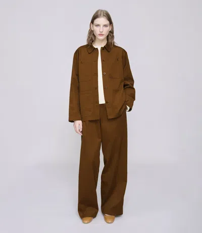 Apc Camel In Brown
