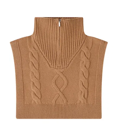 APC CAMEL CAB