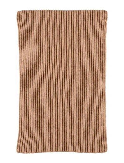 Apc A.p.c. Camille Ribbed Knit Scarf In Brown