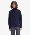 Apc Walter Sweater In Blue