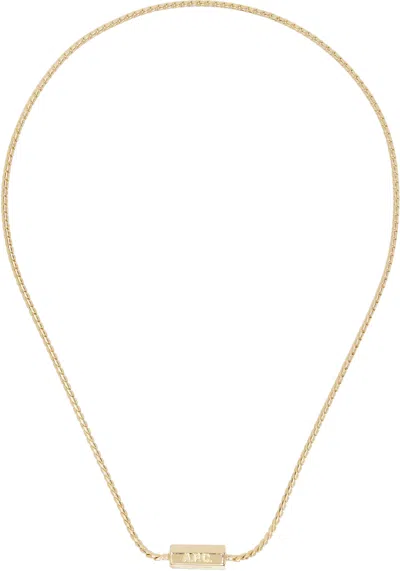 Apc Gold Angle Necklace In Raa Gold