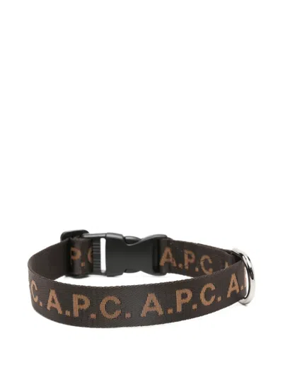 Apc Logo Adjustable Pet Collar In Brown