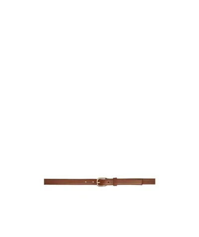 Apc Logo Belt In Brown