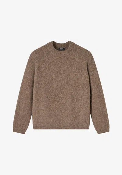 A.p.c. Loone Sizee-fit Taupe Brown Sweater Xs Bae In Multi
