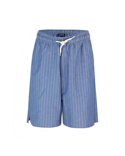 Apc A.p.c. Paul Striped Shorts In Multi