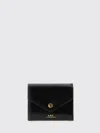 A.p.c. A. P.c. Black Leather Envelope Mini Coin Purse In Black